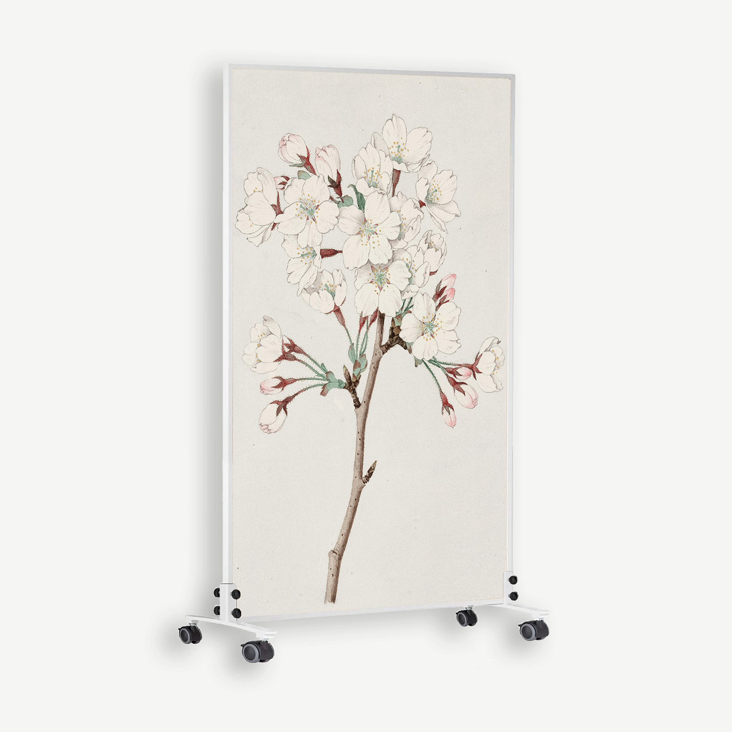 Vertical panel showing a botanical illustration of white cherry blossoms on a brown branch, mounted on a wheeled white display.