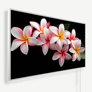 Wit roze Frangipanibloemen | Witte of zwarte lijst | 450 Watt - 1200 Watt