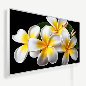 Wit gele frangipanibloemen | Witte of zwarte lijst | 450 Watt - 1200 Watt