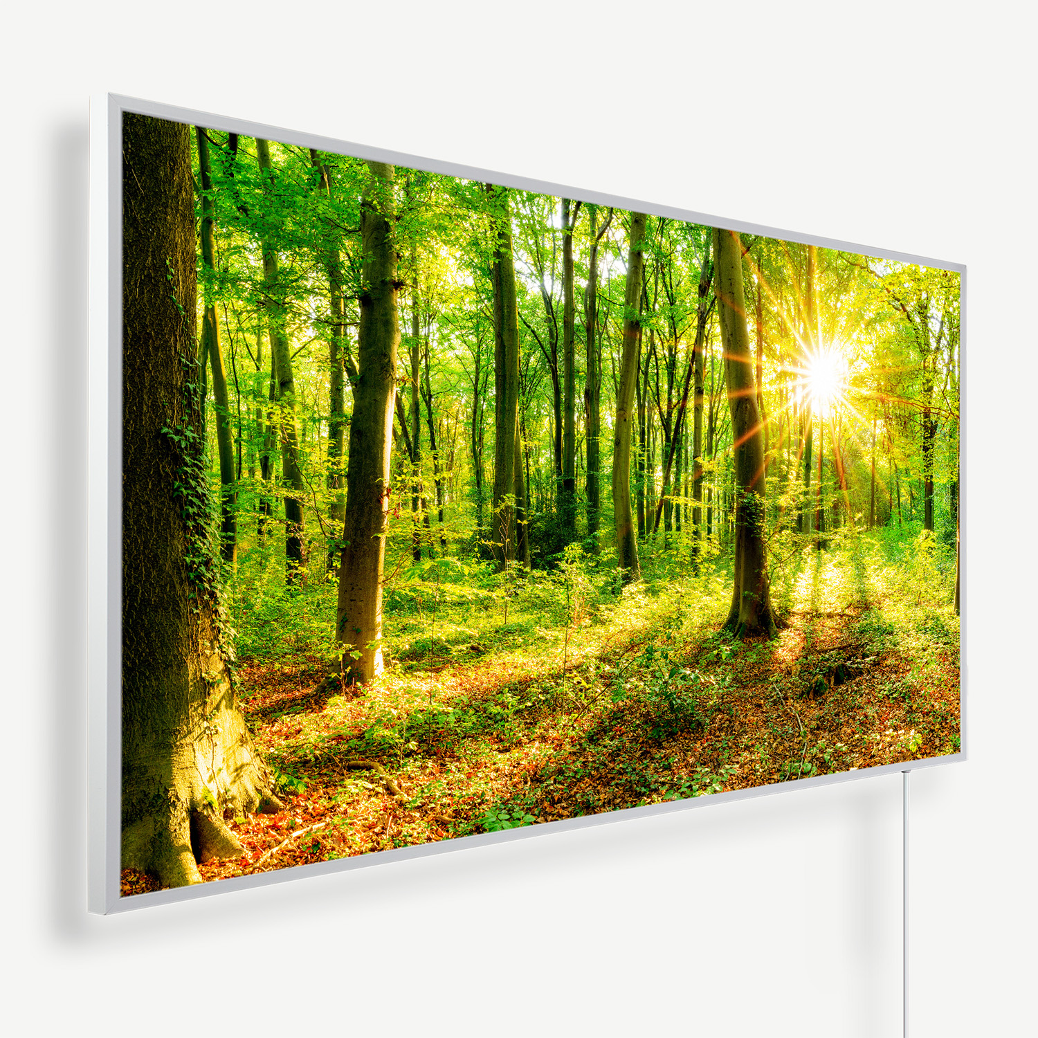 Flat-screen monitor displaying a sunlit green forest with tall trees and dappled light.
